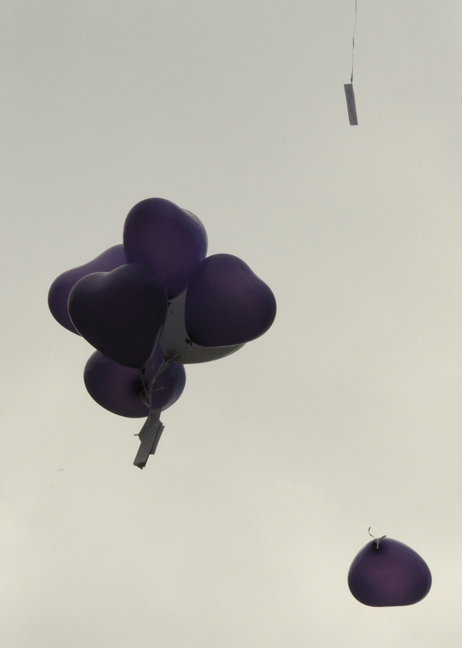 Zum Vergrößern auf das Bild klicken