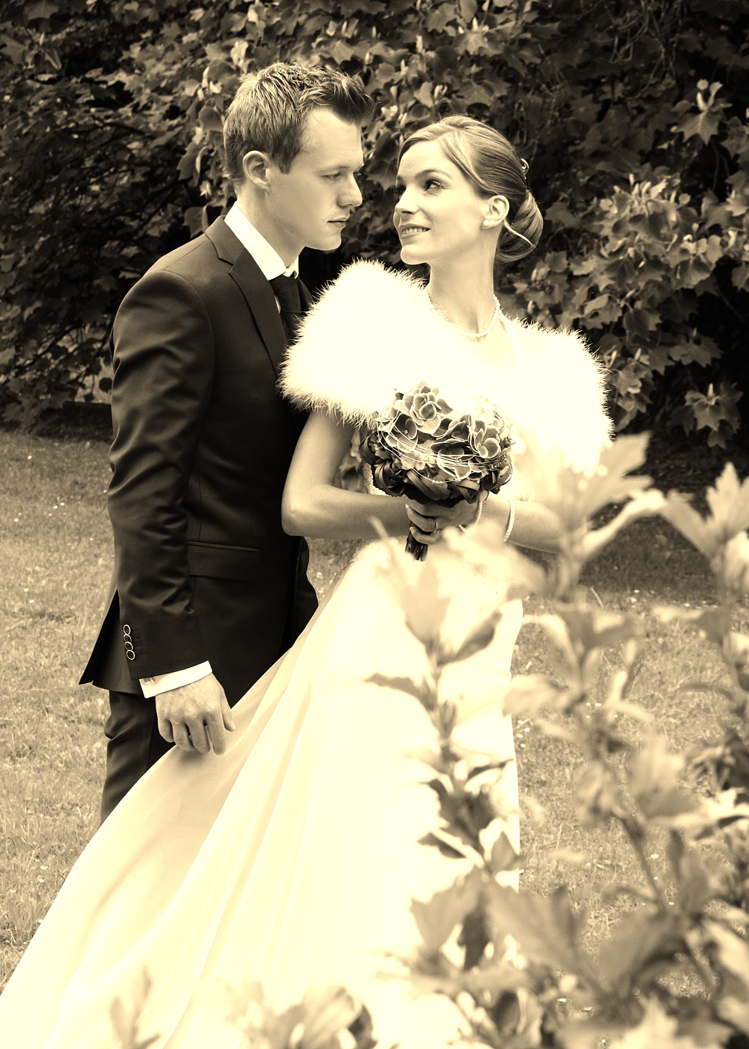 Zum Vergrößern auf das Bild klicken